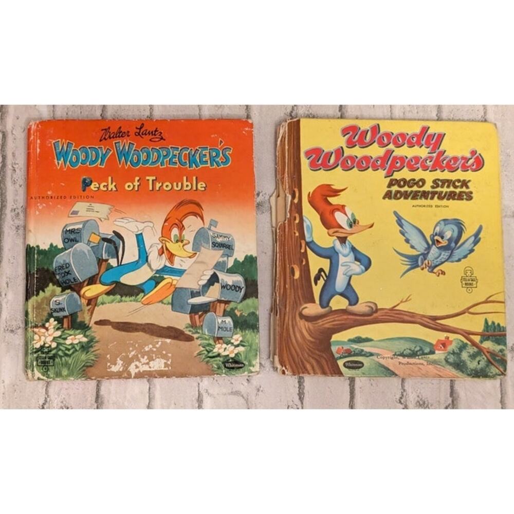 Woody Woodpecker Books Vintage